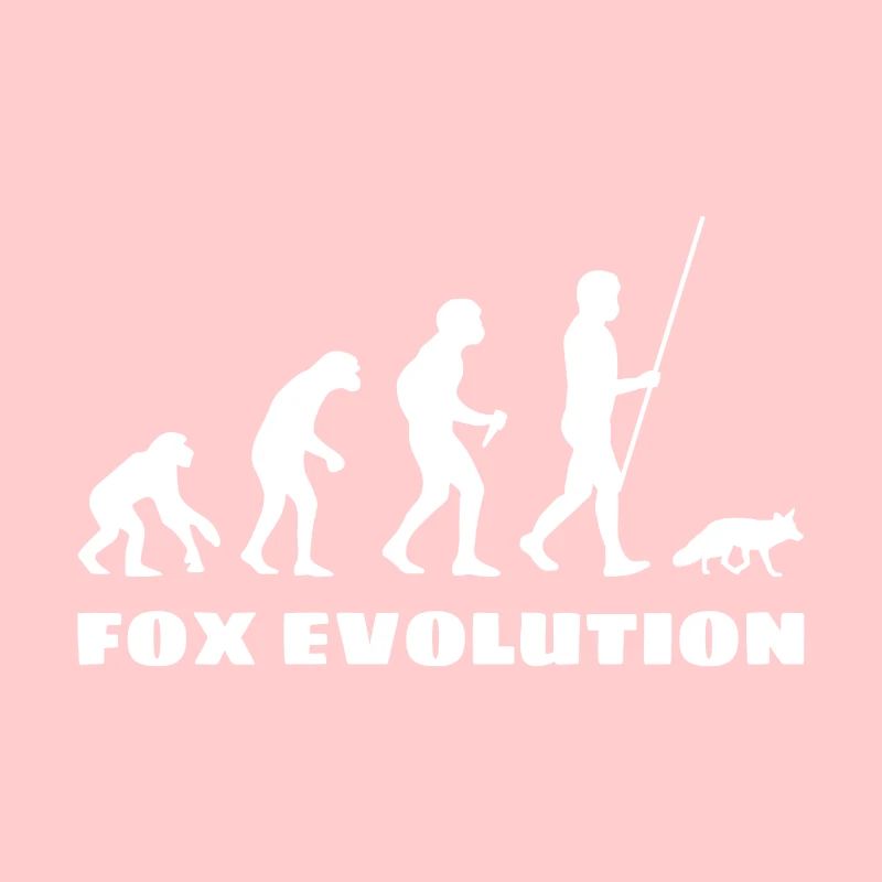Fuchs Evolution