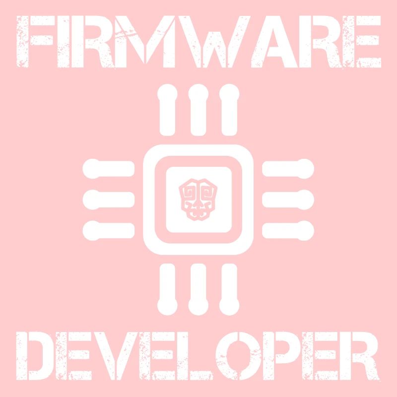 Firmware developer