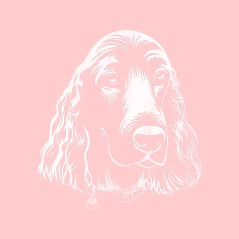 Dog spaniel