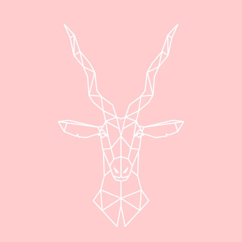 antilope