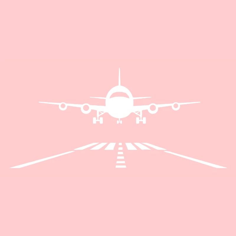 Flugzeug Landung Landebahn Flugpilot Pilot