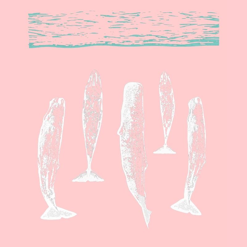 spermwhale plain white