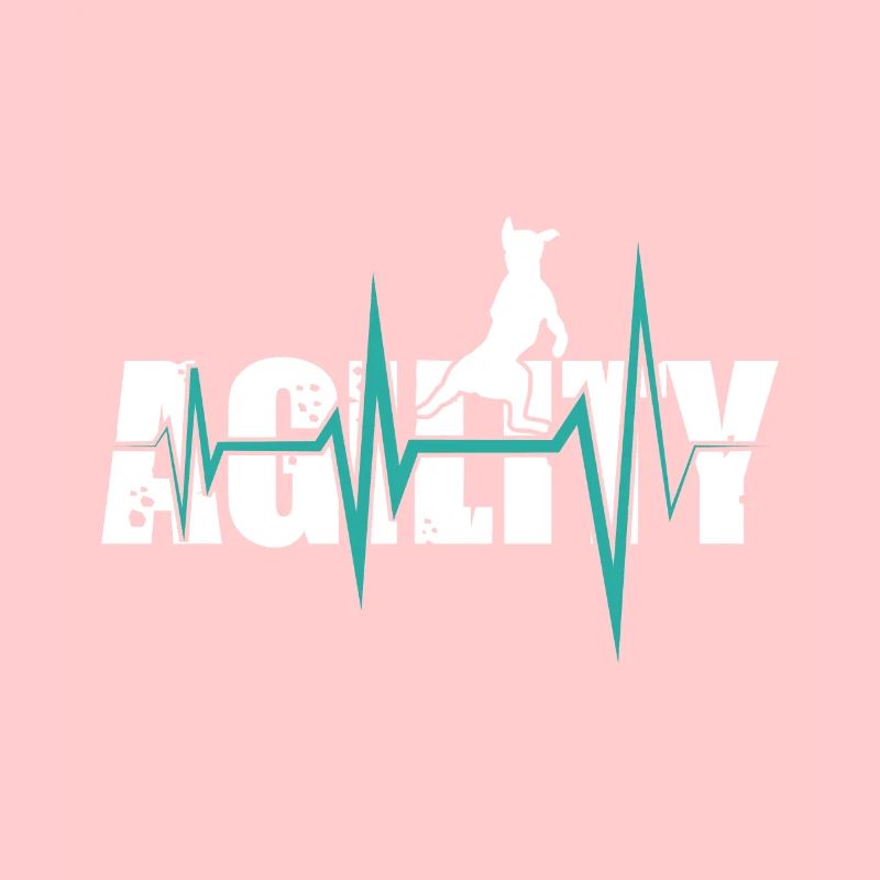Chiens d'agilité - agilité