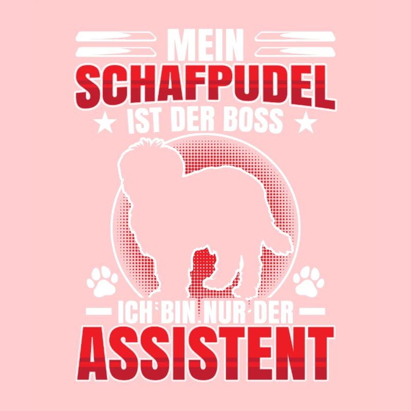 Sheep Poodle is the Old German Herding Dog