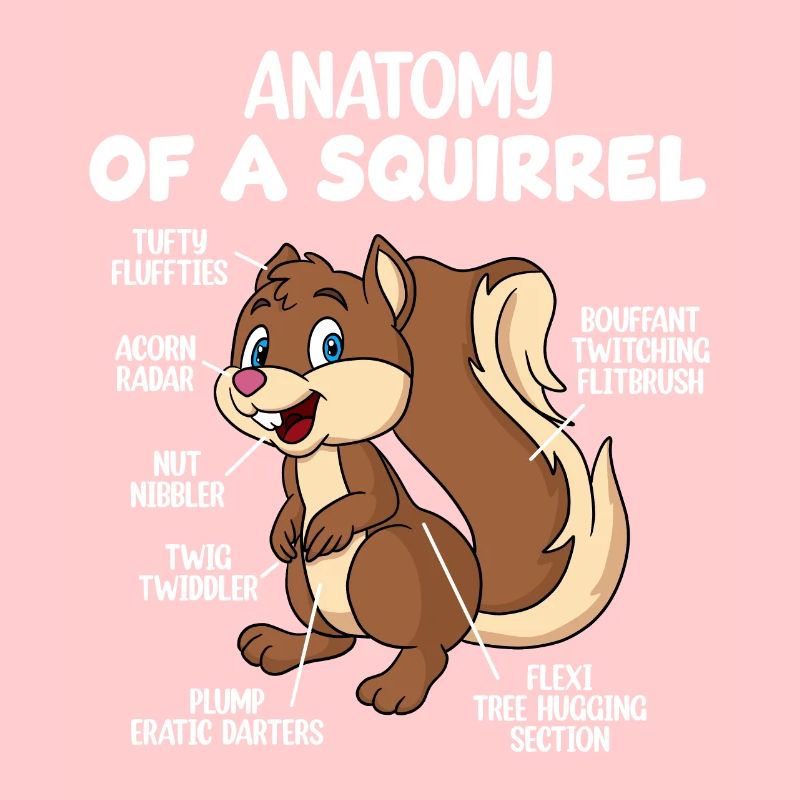 Anatomie d’un écureuil