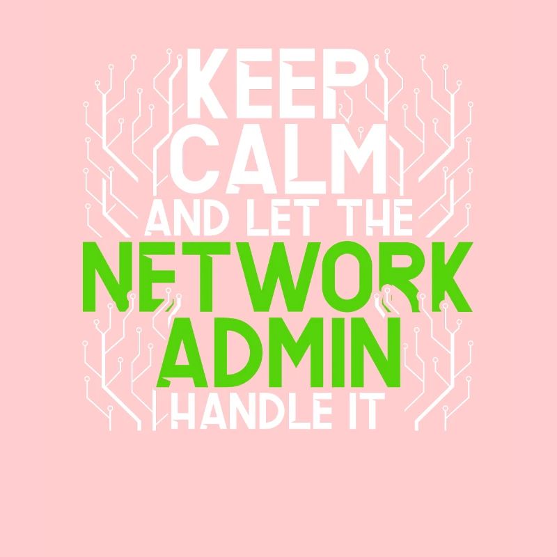 Network Administrator Programmer
