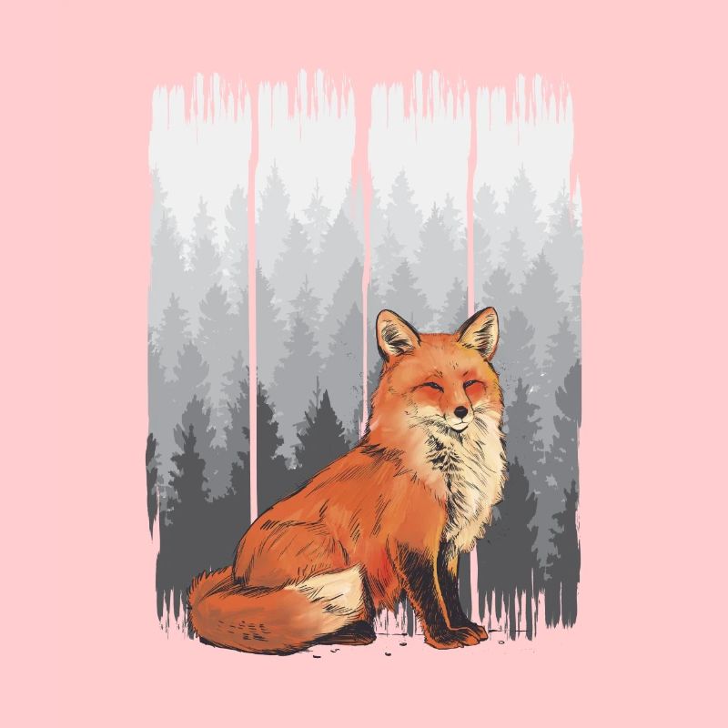 Fuchs Wald Natur