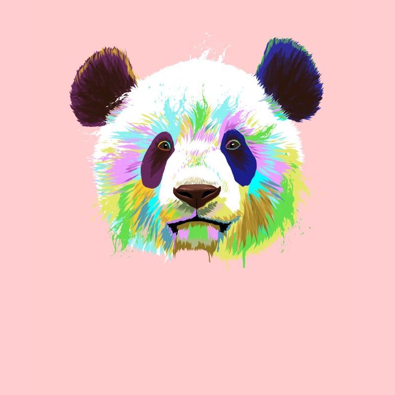 Splash Panda