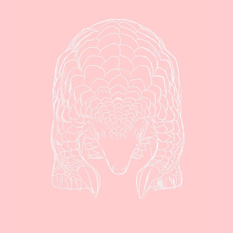 Pangolin