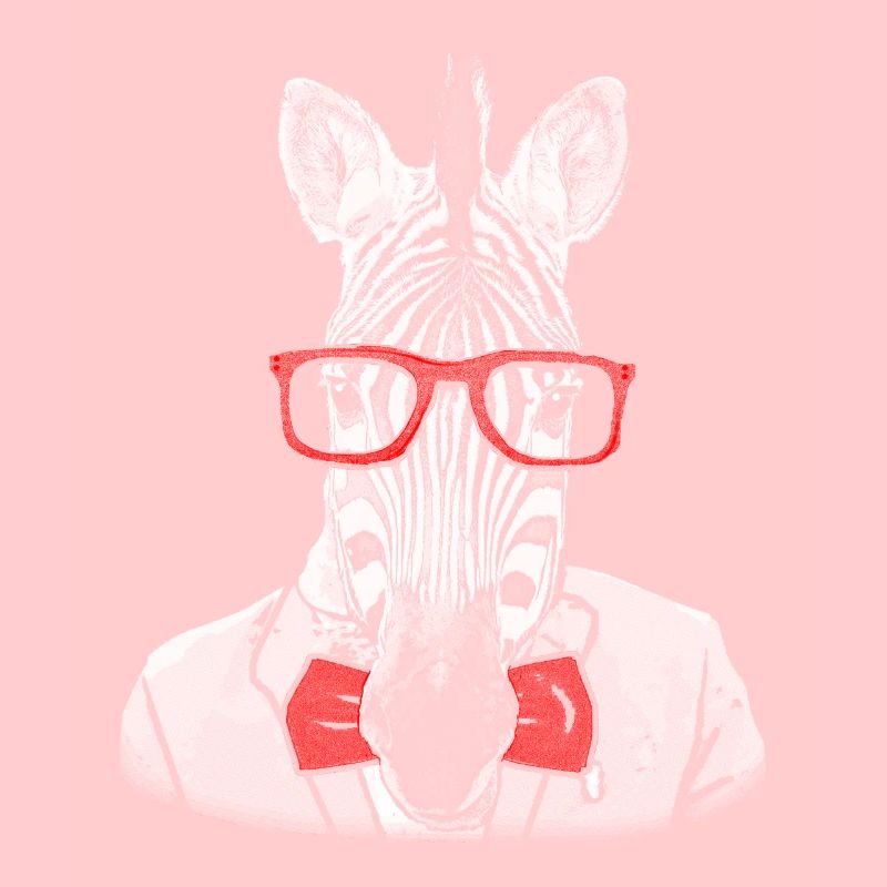 Hipster Zebra