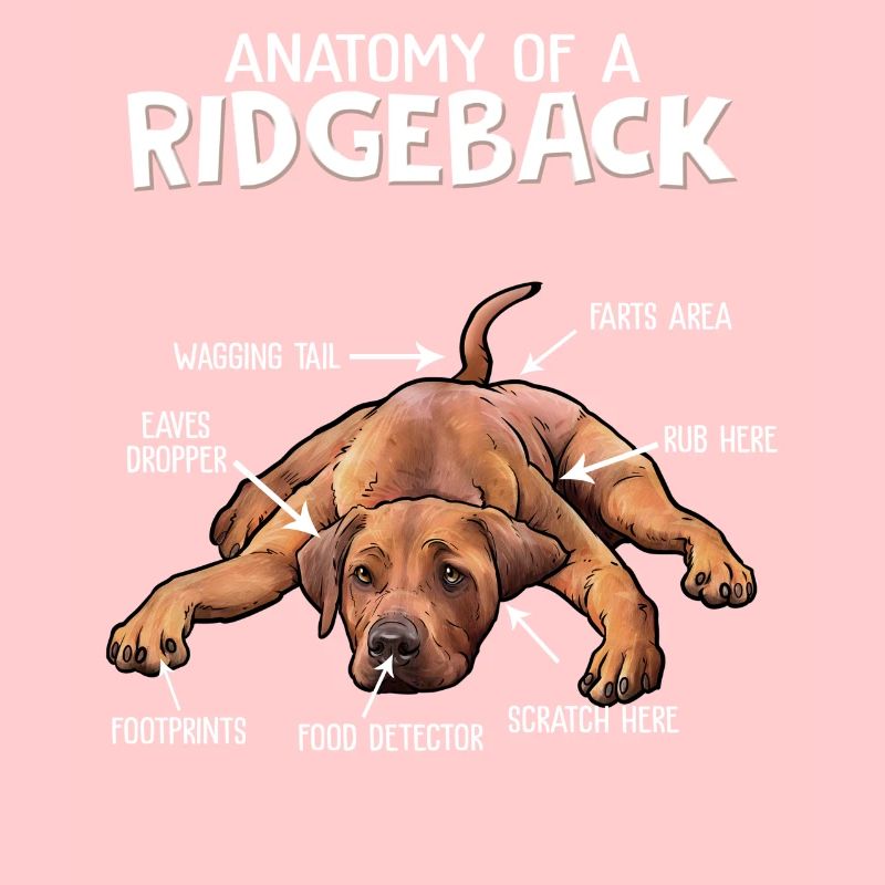 Rhodesian Ridgeback