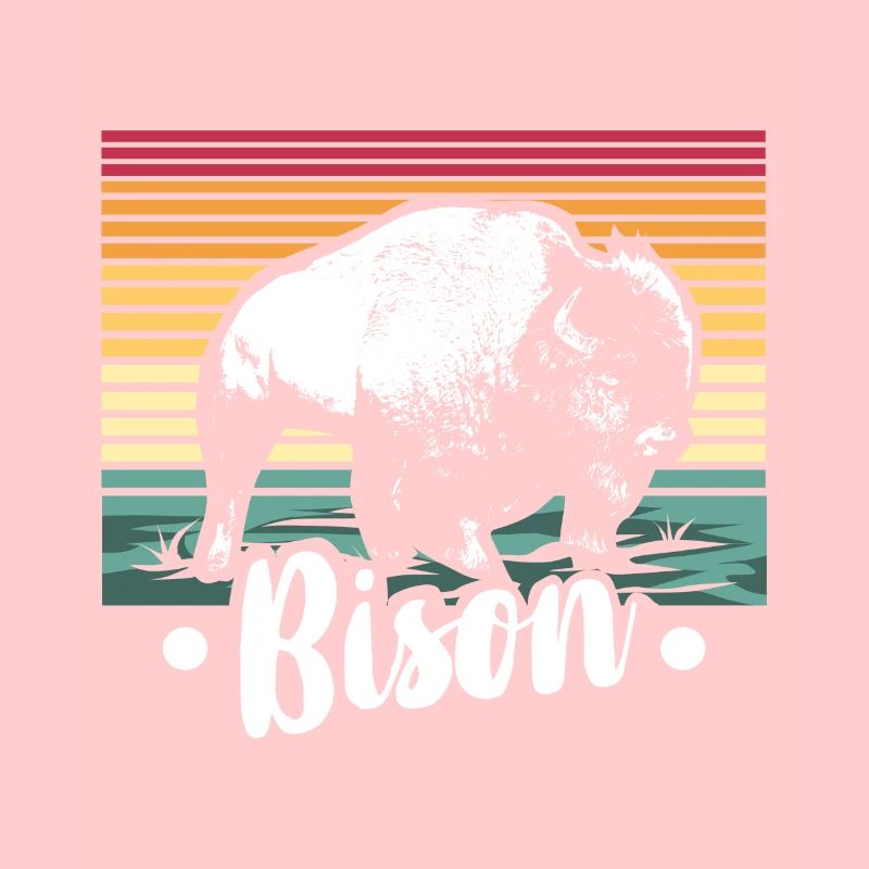 bison