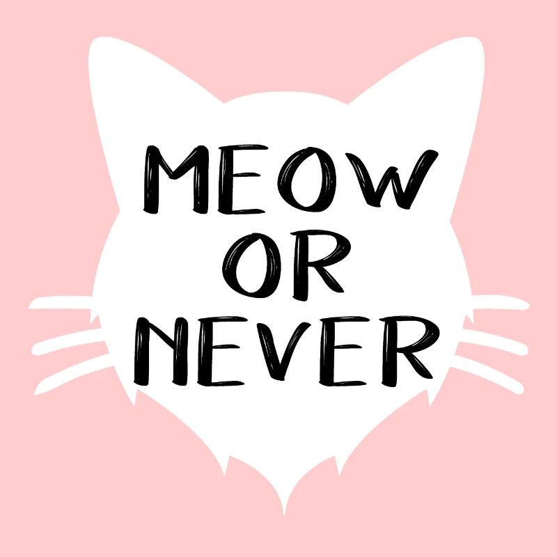 Meow kitten