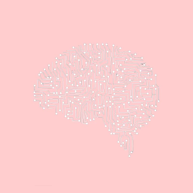Brain circuit white
