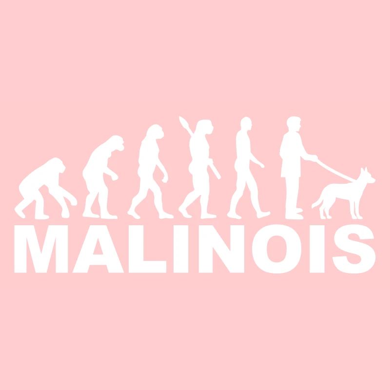 Malinois