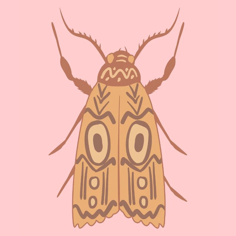 Aboriginal