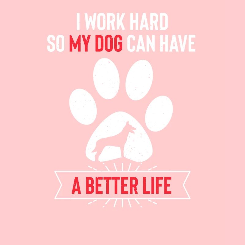 Malinois Belgian Shepherd