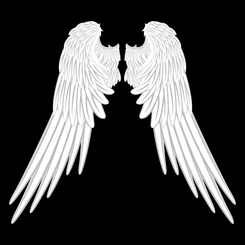 Ailes d'anges