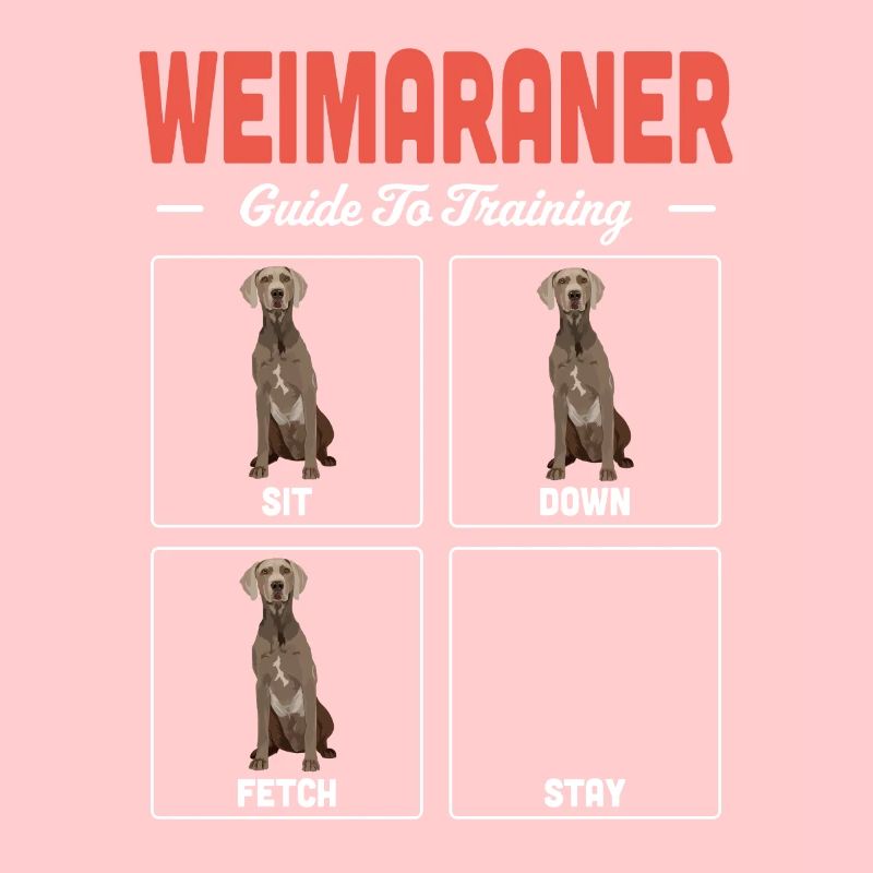 Weimaraner