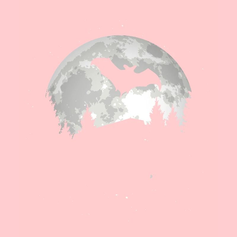 Fledermaus