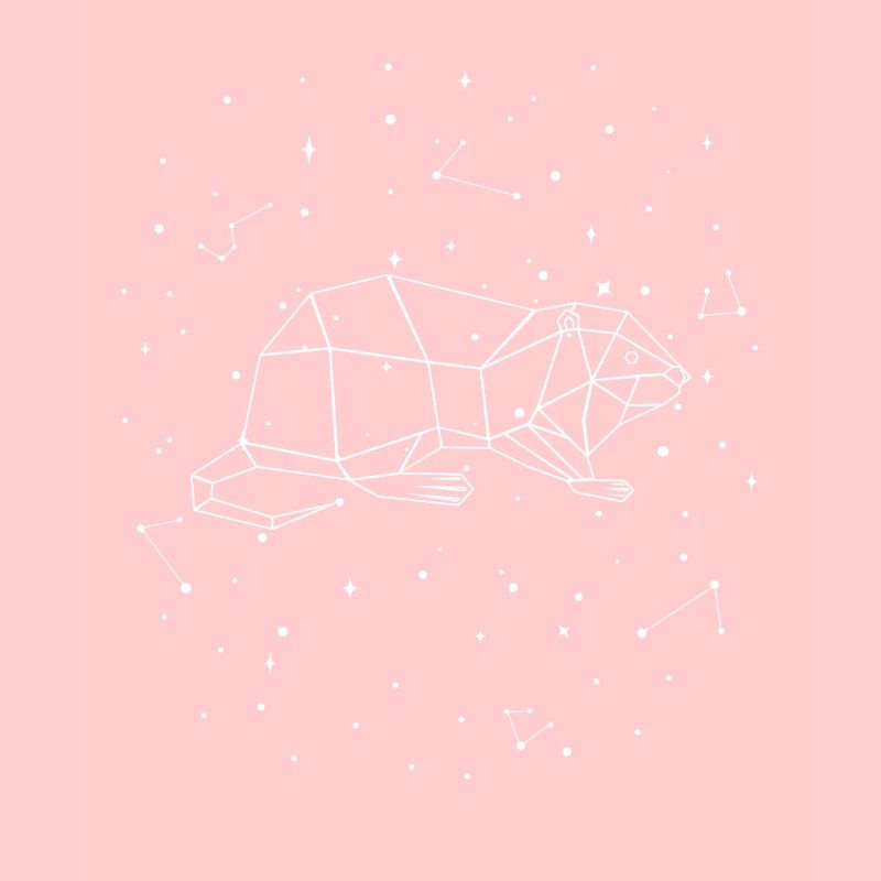 Sternbild Nutria Constellation Biberratte