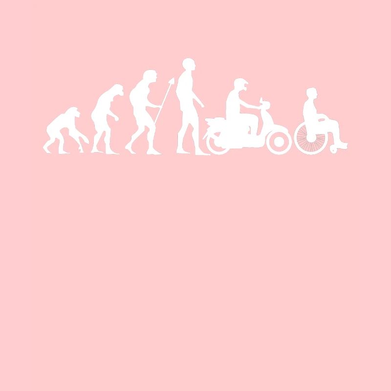 Evolution Moped Roller Mofa Wheelchair Gift