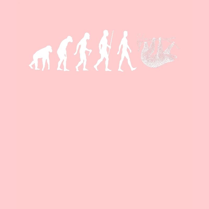 Faultier Evolution Mädchen Kawaii Geschenk Tiere