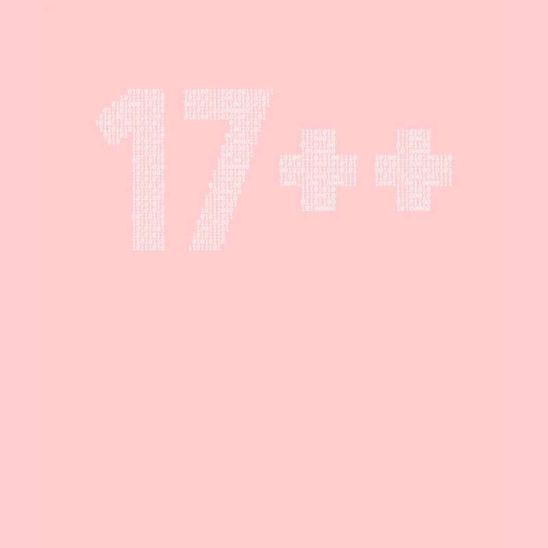 17++ Programmierer Developer Coder 18. Geburtstag