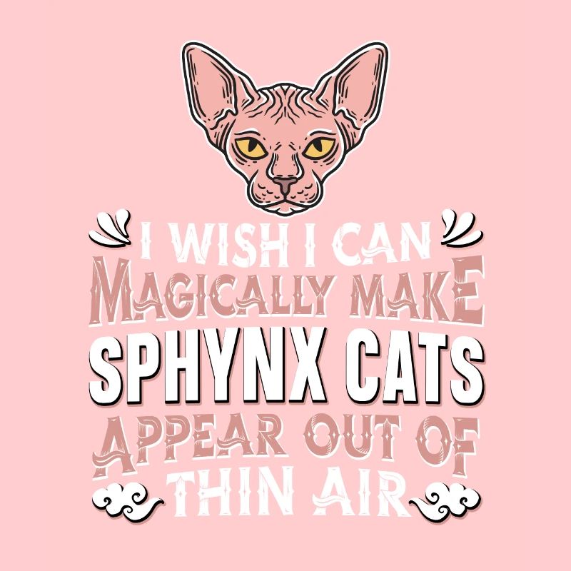 Sphynx Katze