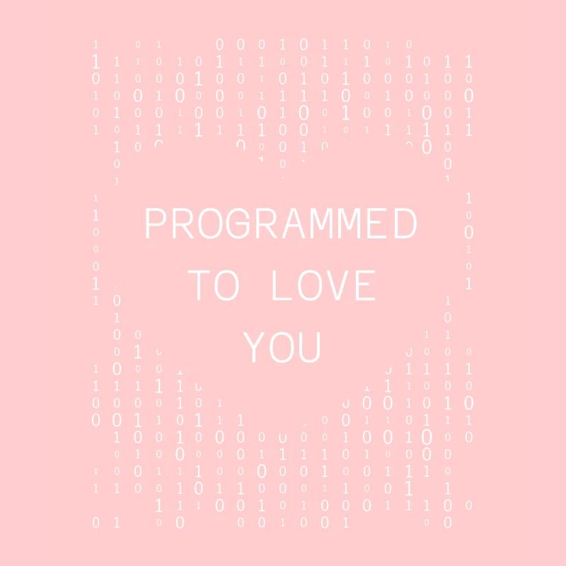 Developer Coder Programmer