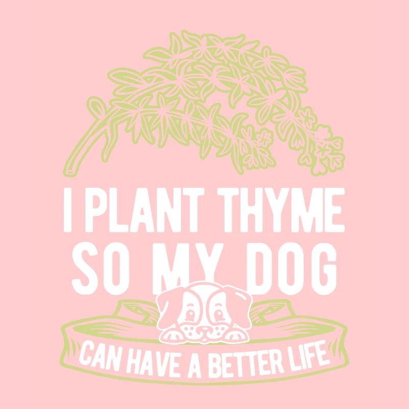 Thyme Herbe Chien