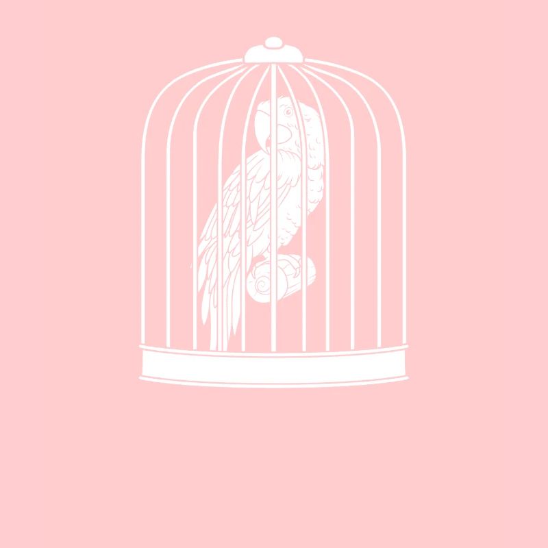 Cage de perroquet