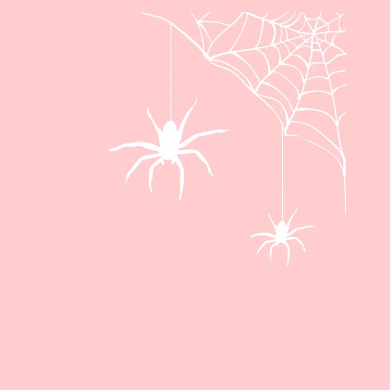 Spinne - Spinnennetz