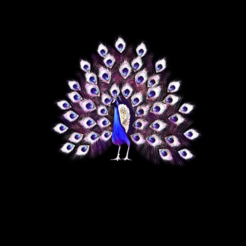 Pfau