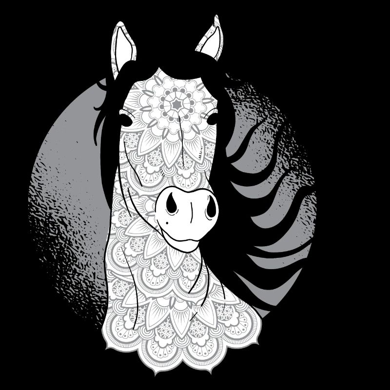Traum Pferd