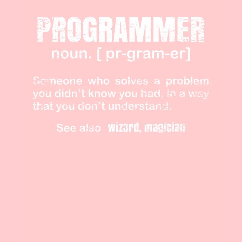 programmeur