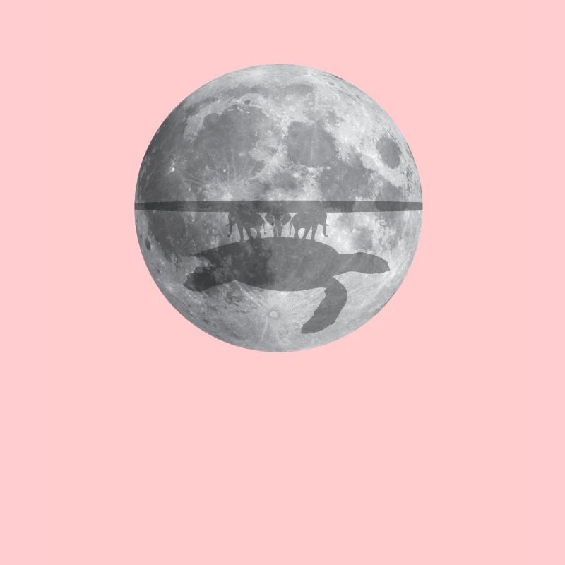 Flat Earth théorie éléphant tortue
