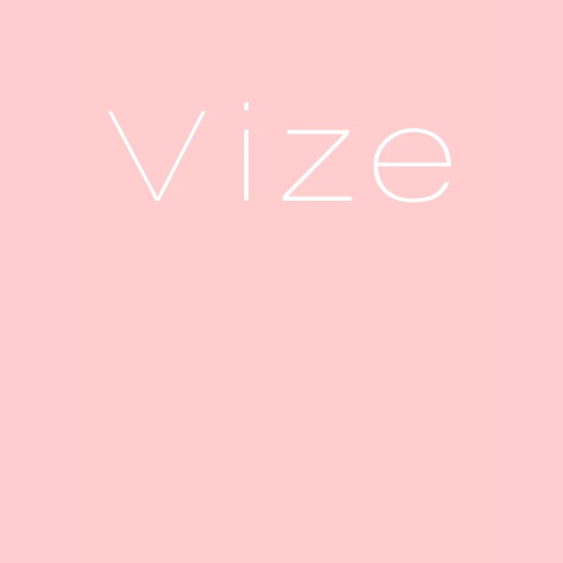 vice