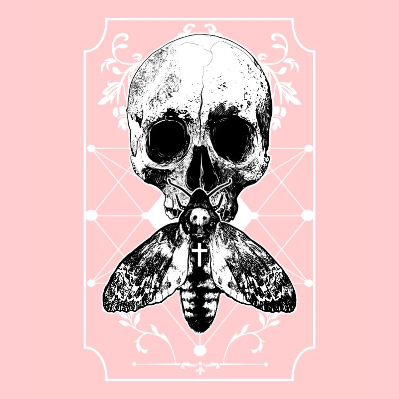 Moth skull