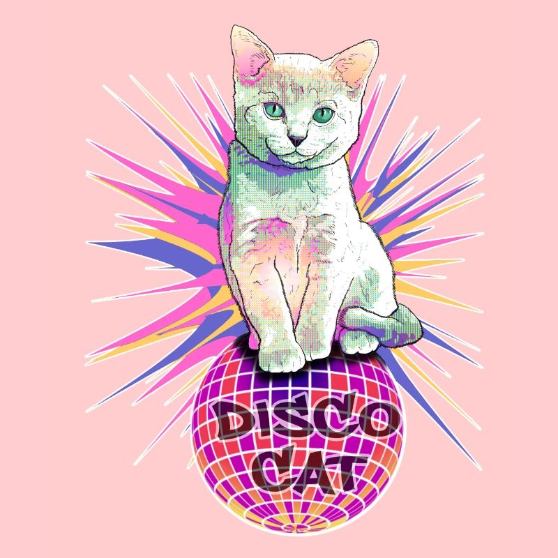 Disco Cat