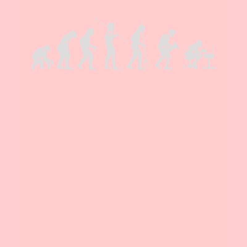 Evolution Computer Scientist