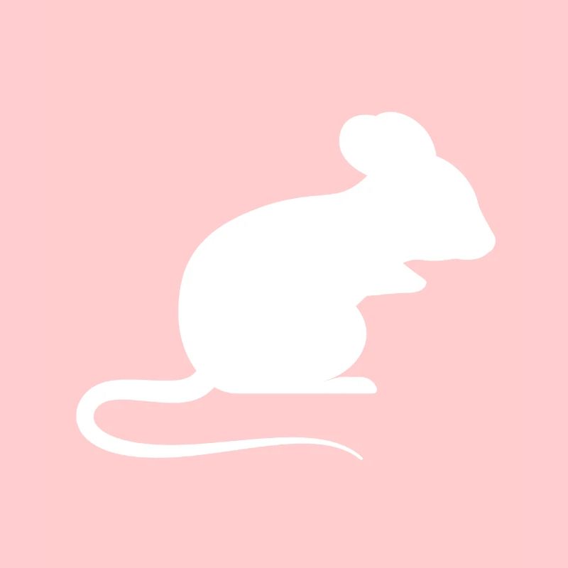souris