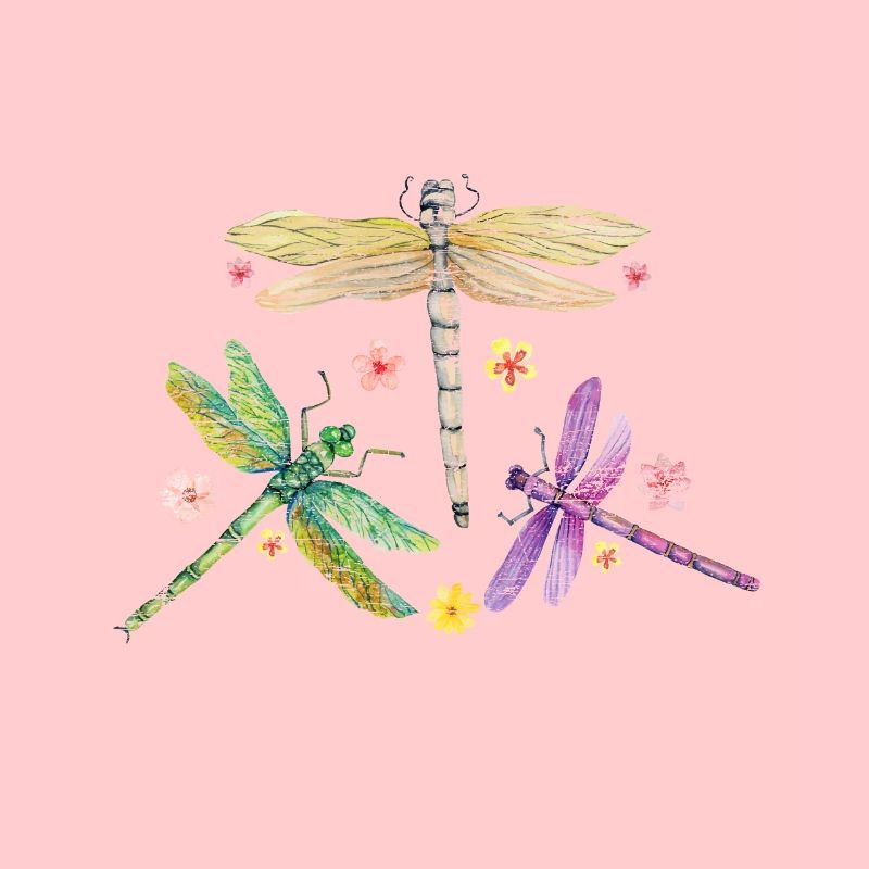 Libelle Räuber