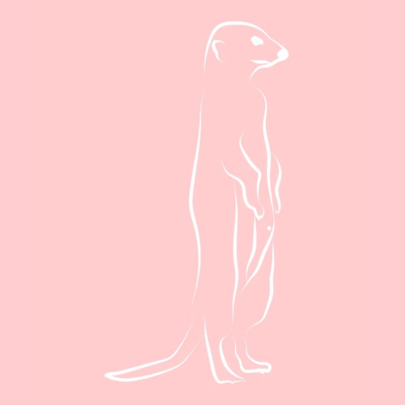Erdmännchen