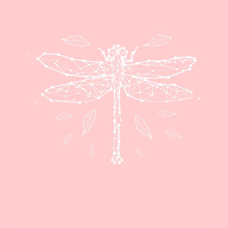 Libellule insectes animaux