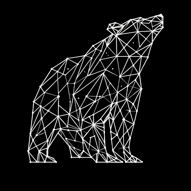 Bear Polygon