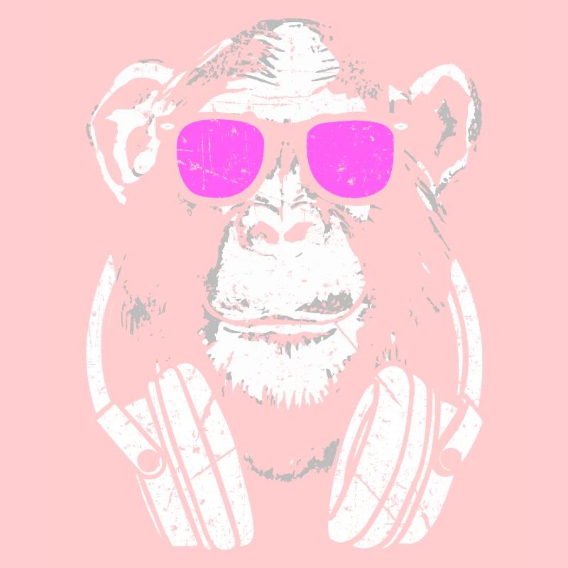 Monkey DJ