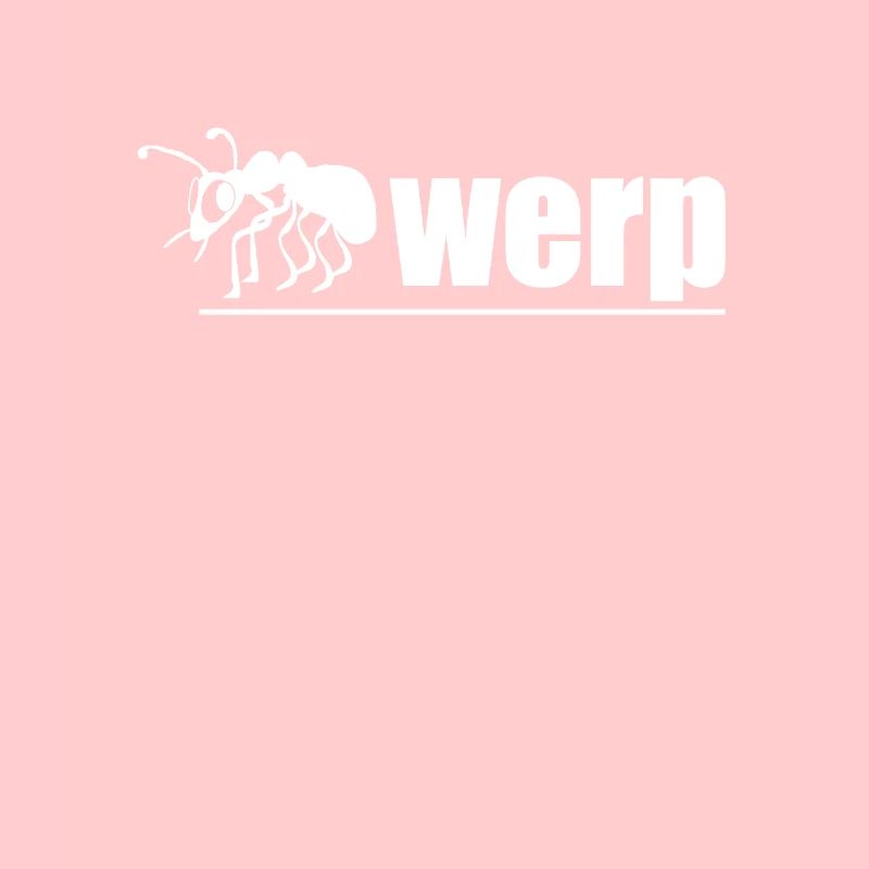 Excursion de vacances à Anvers