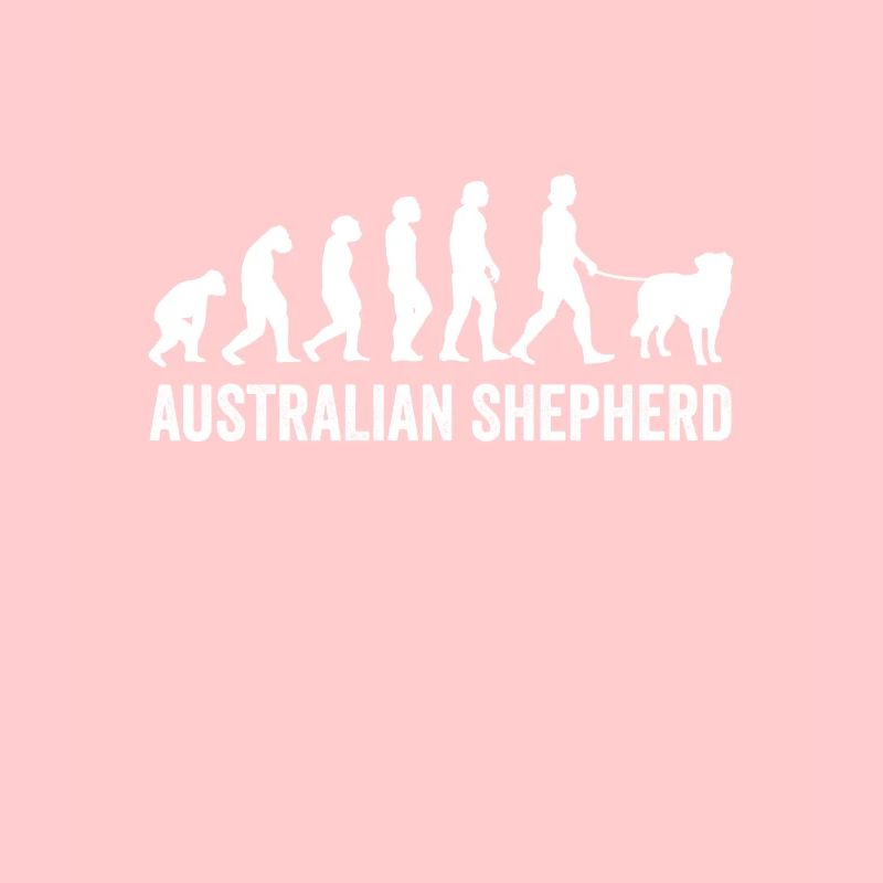Australian Shepherd Evolution