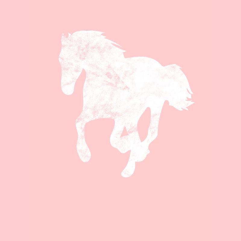 Equitation Equitation Sport